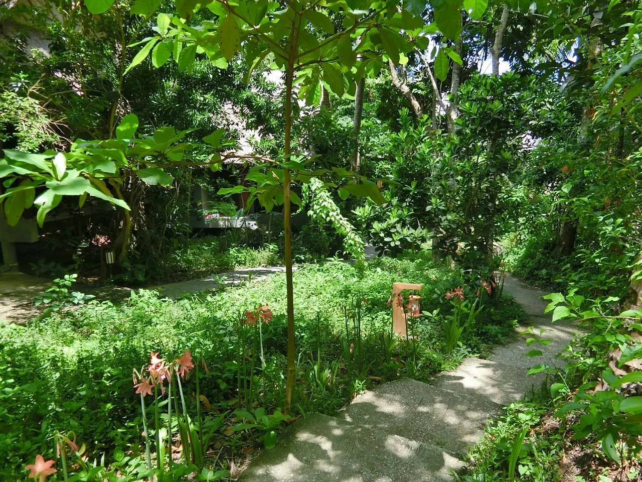 The Narima - Sha Plus Koh Lanta