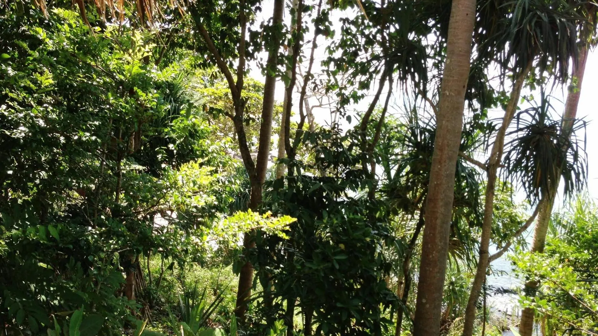 The Narima - Sha Plus Ko Lanta Resort